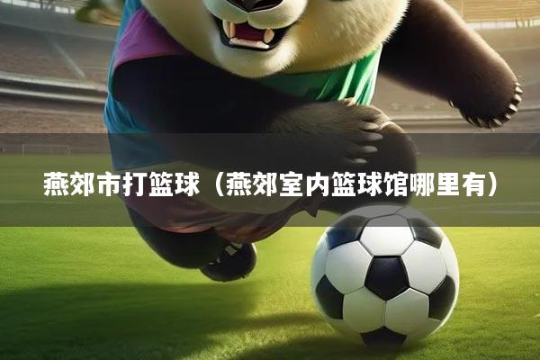 燕郊市打篮球（燕郊室内篮球馆哪里有）