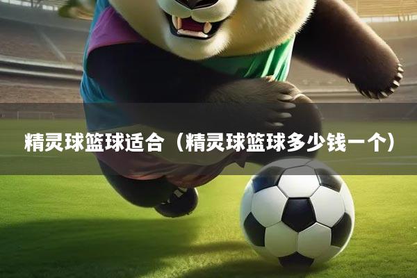 精灵球篮球适合（精灵球篮球多少钱一个）