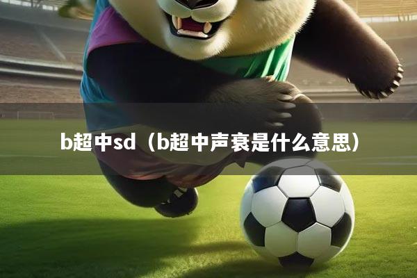 b超中sd（b超中声衰是什么意思）