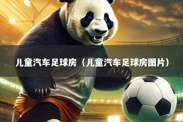 儿童汽车足球房(儿童汽车足球房图片)